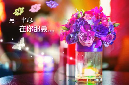 世界通缉犯：开局扭断女神脖子苏哲苏雪推荐完本_已完结世界通缉犯：开局扭断女神脖子（苏哲苏雪）