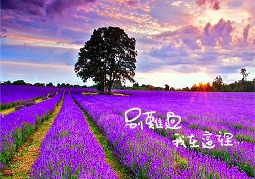 (番外)+(全文)尘烟散尽终徒劳：每日分享最新章节免费阅读_（赵蔓傅文博傅景荣）尘烟散尽终徒劳：每日分享全文免费在线阅读_笔趣阁（赵蔓傅文博傅景荣）