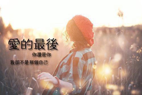 全本又风又雪又见月：+后续（贺凌屿黎婉辞宋慕岑）最新章节列表_全本又风又雪又见月：+后续全文阅读