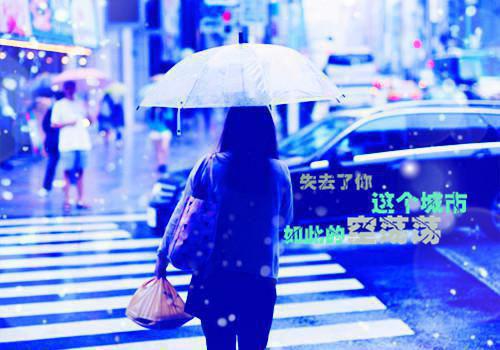 (番外)+(全文)重生：巅峰仕途免费下载阅读_(叶辰苏月)叶辰苏月最新章节列表_笔趣阁（叶辰苏月）