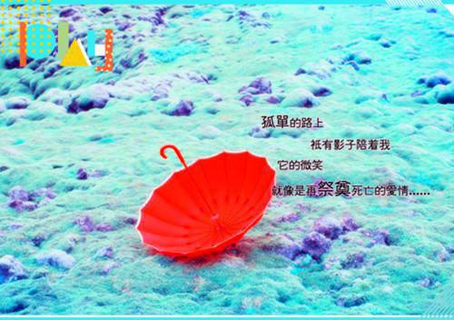 爱似流萤遇繁星：节选高光片段速递‌全文小说沐星澜陆司沉小说在线阅读