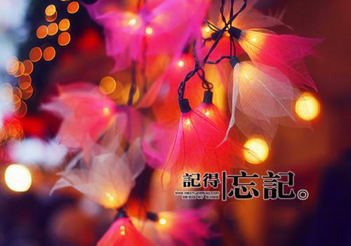 佚名写的小说裴先生祝你新婚快乐小说大结局阅读