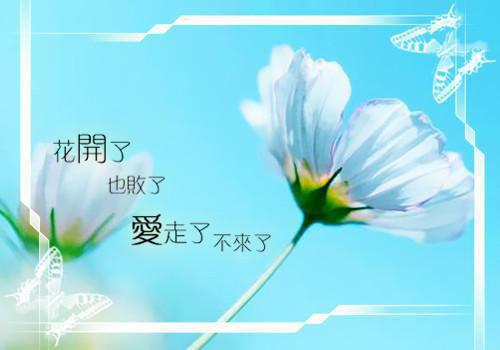 福运农妻：腹黑王爷赖上门最新章节列表_福运农妻：腹黑王爷赖上门全文免费阅读(李花,苍修,苏家)