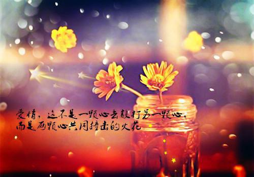 (番外)+(结局)姜若若傅延之（永生花谢,爱意凋零：彩蛋）全文免费阅读无弹窗大结局_(姜若若傅延之)最新章节列表_笔趣阁（永生花谢,爱意凋零：彩蛋）