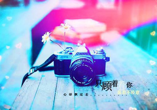(番外)+(全文)你来时繁花尽开：+后续免费下载阅读_(颜予希贺时安)颜予希贺时安最新章节列表_笔趣阁（颜予希贺时安）
