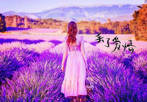全文浏览给摄政王当通房丫鬟五年后我逃了：结局+番外榜单（谢梨赫连城谢绾凝）_给摄政王当通房丫鬟五年后我逃了：结局+番外榜单（谢梨赫连城谢绾凝）全文结局