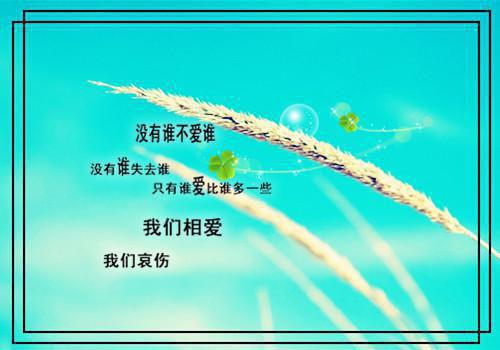 火爆小说裙下客免费阅读