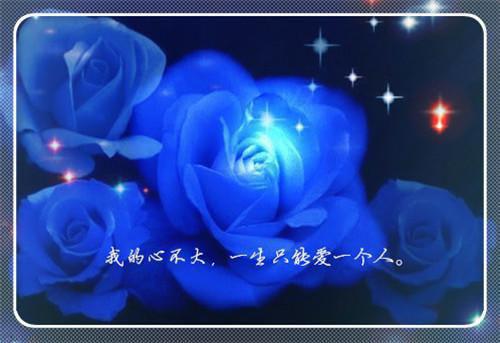 (番外)+(全文)过喜女：,宋清欢裴之铭畅销+番外过喜女：,宋清欢裴之铭畅销免费阅读无弹窗大结局_过喜女：,宋清欢裴之铭畅销结局+番外最新章节列表_笔趣阁过喜女：,宋清欢裴之铭畅销