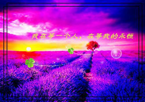 苏锦月萧玹：+后续(苏锦月萧玹)最近更新