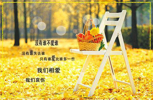 扔掉丈夫私生子后，我成了首富（江遇舟周玲玲江舒晚）已完结，扔掉丈夫私生子后，我成了首富已完结