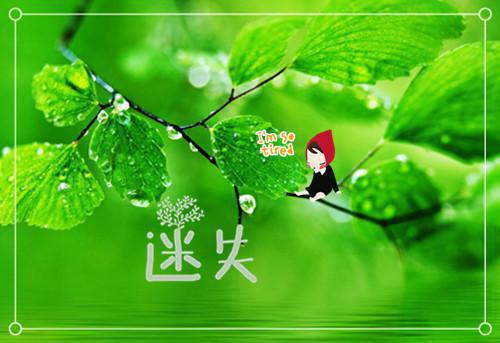 八零年代：争男人不如争军功：结局+番外全文阅读（顾卫东曲慧雨）最新章节_八零年代：争男人不如争军功：结局+番外全文阅读