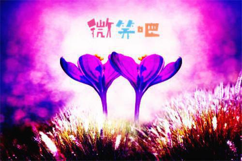 第126次重生，恶毒女配躺赢了（温柒柒林薇雪）已完结，第126次重生，恶毒女配躺赢了已完结