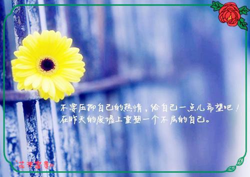 最新章节退伍归来，我被美女包围了！（夏冬阳李菁菁）_退伍归来，我被美女包围了！夏冬阳李菁菁最新章节