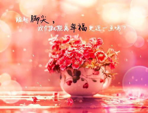 假千金？无所谓，霸总摊牌明恋我（云千星慕彦昱）全章在线无广告高口碑小说