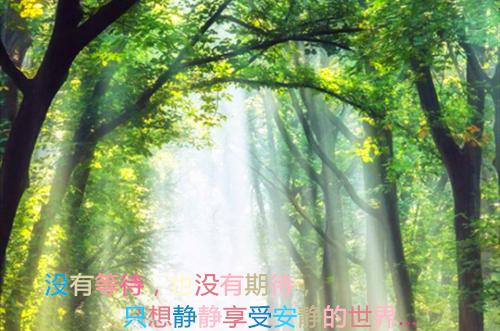 《总裁大人，日后见！》完结版阅读《总裁大人，日后见！》最新章节目录
