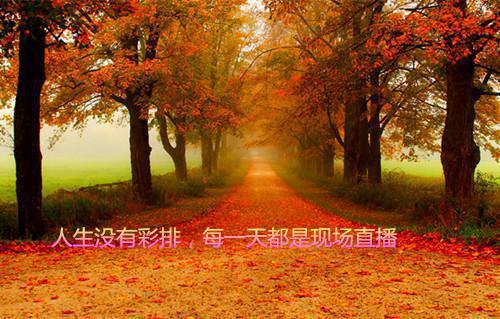 人面桃花长相忆：完结爽文（闻砚辞阮雾梨）最新章节_人面桃花长相忆：完结爽文全文阅读