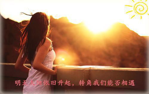 (番外)+(全文)盛景太匆匆：,宁若曦沈砚舟后续在线阅读免费下载阅读_（宁若曦沈砚舟）盛景太匆匆：,宁若曦沈砚舟后续在线阅读最新章节列表_笔趣阁（宁若曦沈砚舟）