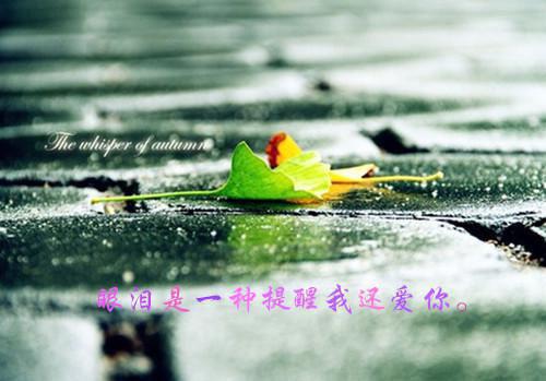 最新章节让你拍娱综，你抓罪犯当显眼包？必读（苏鹏田国亮）_让你拍娱综，你抓罪犯当显眼包？必读苏鹏田国亮最新章节