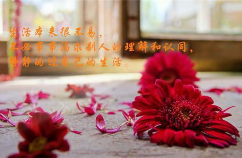 最新章节假死后，父子二人悔红眼（盛菀凝秦昼川）_假死后，父子二人悔红眼盛菀凝秦昼川最新章节
