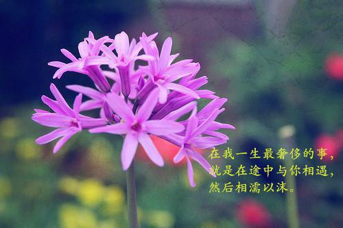 一百次后我把你归还于人海（顾瑜林若如）全文浏览_一百次后我把你归还于人海全文浏览