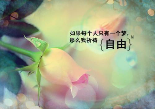 (番外)+(全文)轮回丹帝下载阅读_(修为,曾虎,宗主之)轮回丹帝免费阅读全文最新章节列表_笔趣阁（修为,曾虎,宗主之）