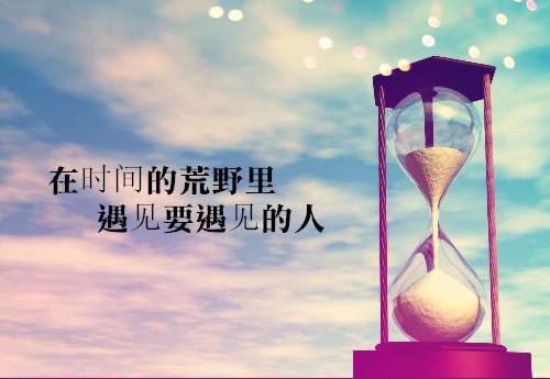 沈意欢陆沉舟谁与你白头成眷纯净版全文阅读_沈意欢陆沉舟谁与你白头成眷纯净版全文免费阅读