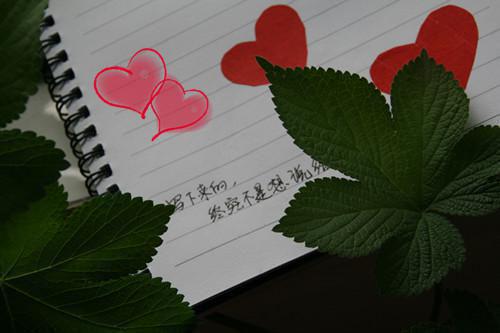 无弹窗全文（谢泽远沈清）爱意离港高分佳作全书无套路阅读