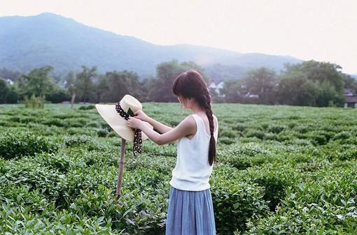 沈听夏薄煜琛(沈听夏薄煜琛)最近更新