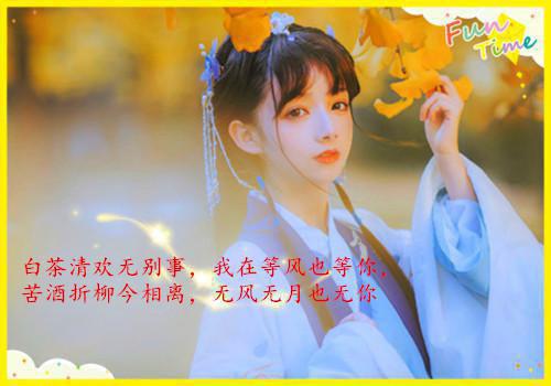 晚来沉香惊鸿语(沈落黎段砚深)最近更新