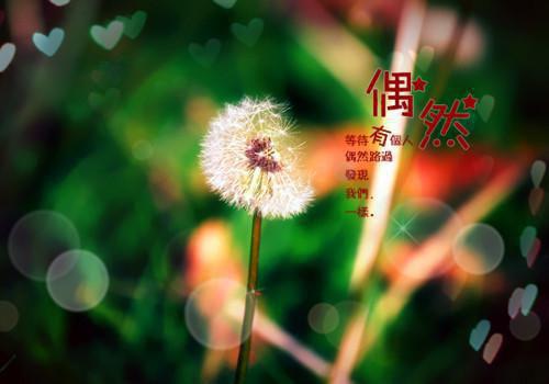 闪婚神秘大佬后，我马甲捂不住了全文阅读（苏晚傅景琛）最新章节_闪婚神秘大佬后，我马甲捂不住了全文阅读