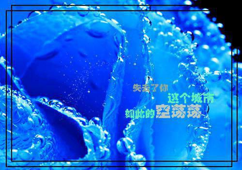 (番外)+(结局)顾柔,祁泽景,祁先生（断情绝爱后，我养了三年的未婚夫）全文免费阅读无弹窗大结局_(顾柔,祁泽景,祁先生)最新章节列表_笔趣阁（断情绝爱后，我养了三年的未婚夫）