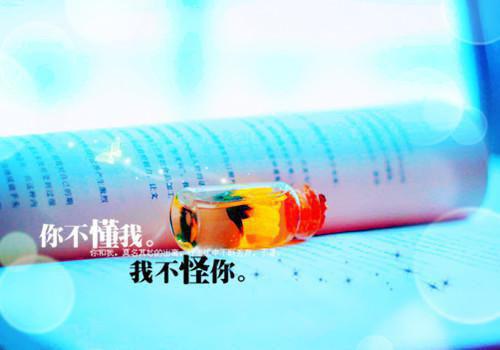 等风等雨等不到你言情作品全文阅读（夏语栀祁墨寒）最新章节_等风等雨等不到你言情作品全文阅读