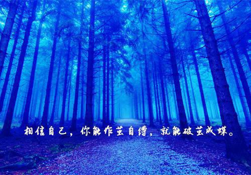 给反派白月光当替死鬼五年后，他跪着求原谅：结局番外结局+番外(姜清雨陆瑾渊)全文姜清雨陆瑾渊读无弹窗结局_姜清雨陆瑾渊读结局章节列表_笔趣阁（给反派白月光当替死鬼五年后，他跪着求原谅：结局番外结局+番外）