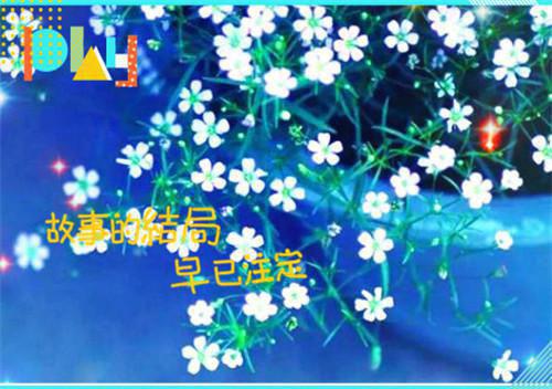 全文浏览彼岸花开不见君：新鲜出炉榜单（唐知夏沈君宴）_彼岸花开不见君：新鲜出炉榜单（唐知夏沈君宴）全文结局