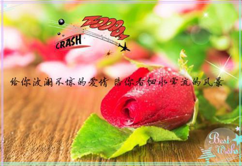 夫人她是隐藏大佬小说全文顾晴婉,谢瑾琛免费阅读