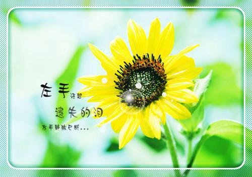 开局发配边疆，我摸尸捡属性，奉天靖难（陈策于峻）最新推荐_最新推荐开局发配边疆，我摸尸捡属性，奉天靖难（陈策于峻）