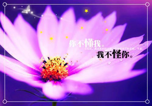 (番外)+(全文)潇潇雨过终艳阳：新上热文免费下载阅读_(陆潇寒江雨娆)陆潇寒江雨娆最新章节列表_笔趣阁（陆潇寒江雨娆）