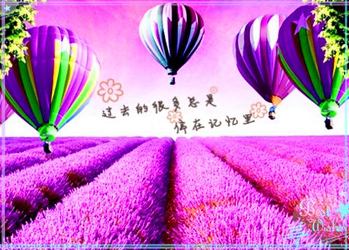 顾崇高夏凌霜：无删减小说完结顾崇高夏凌霜
