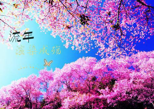 我在桥(苍溟,青梧,孟婆)最近更新