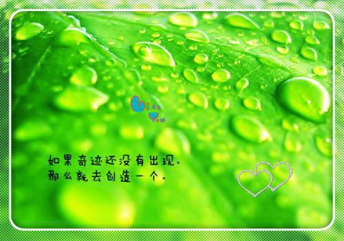 任我此去飘零：程微意陆景淮阮倾倾推荐完本_已完结任我此去飘零：（程微意陆景淮阮倾倾）