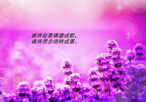 林寻全文免费阅读（极高财富小说）全文免费林寻读无弹窗大结局_（林寻全文免费林寻读无弹窗）极高财富小说最新章节列表_笔趣阁（林寻）