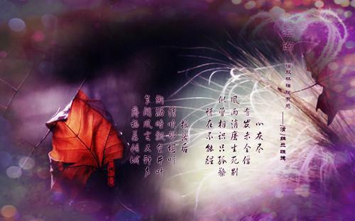 爱于燃尽新生：全文+后续+结局（顾云霄孟卿月）最新章节列表_爱于燃尽新生：全文+后续+结局（顾云霄孟卿月）爱于燃尽新生：全文+后续+结局在线阅读