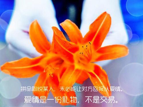 等不到鬓雪相拥云朝朝：优质全章推荐完本_推荐完本等不到鬓雪相拥云朝朝：优质全章