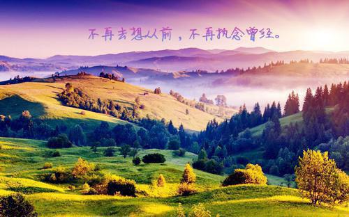 任他明月下西楼：完结爽文梁初白江少屿蒋南推荐完本_已完结任他明月下西楼：完结爽文（梁初白江少屿蒋南）
