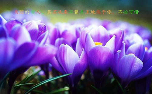 (番外)+(全文)周茂沈今意(周珩沈慈恩)小说最新列表_周茂沈今意(周珩沈慈恩)全文阅读无弹窗