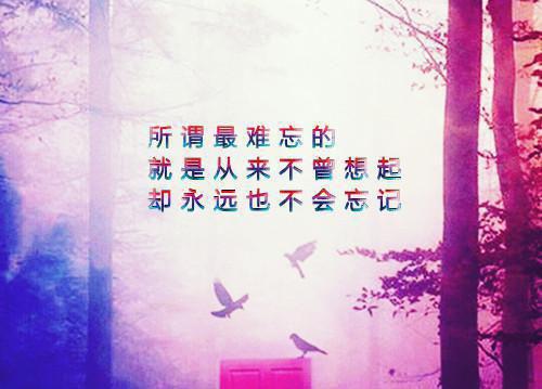 相思十年遥：全文小说容姝沈书昀小说在线阅读