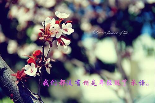 (番外)+(全文)快穿：虐心虐肝，让富少为我挖野菜全面完结txt下载阅读_(岑郁虞莘玉)快穿：虐心虐肝，让富少为我挖野菜全面完结免费阅读全文最新章节列表_笔趣阁（岑郁虞莘玉）