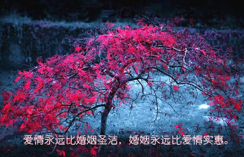 他的女同事怀孕后我闪婚了：+番外最新章节列表_他的女同事怀孕后我闪婚了：+番外全文免费阅读(裴晏西晏西慕媛媛)