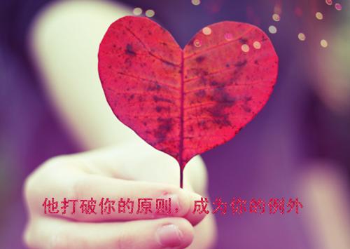 沈棠眠的小说折寒枝簪起霜思宝藏沈棠眠宋闻璟全文在线阅读