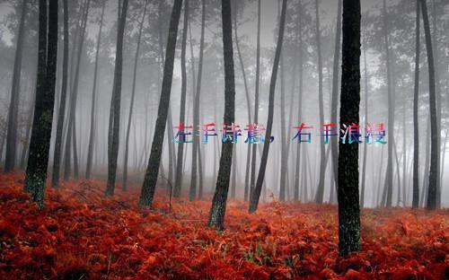 愿执手长夜漫漫：精彩剧情全文小说陆昭昭陆斯宴小说在线阅读